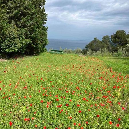 Istrian Green House Порторож Екстер'єр фото