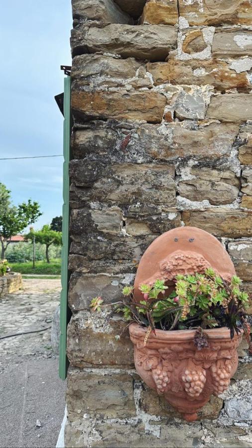 Istrian Green House Порторож Екстер'єр фото