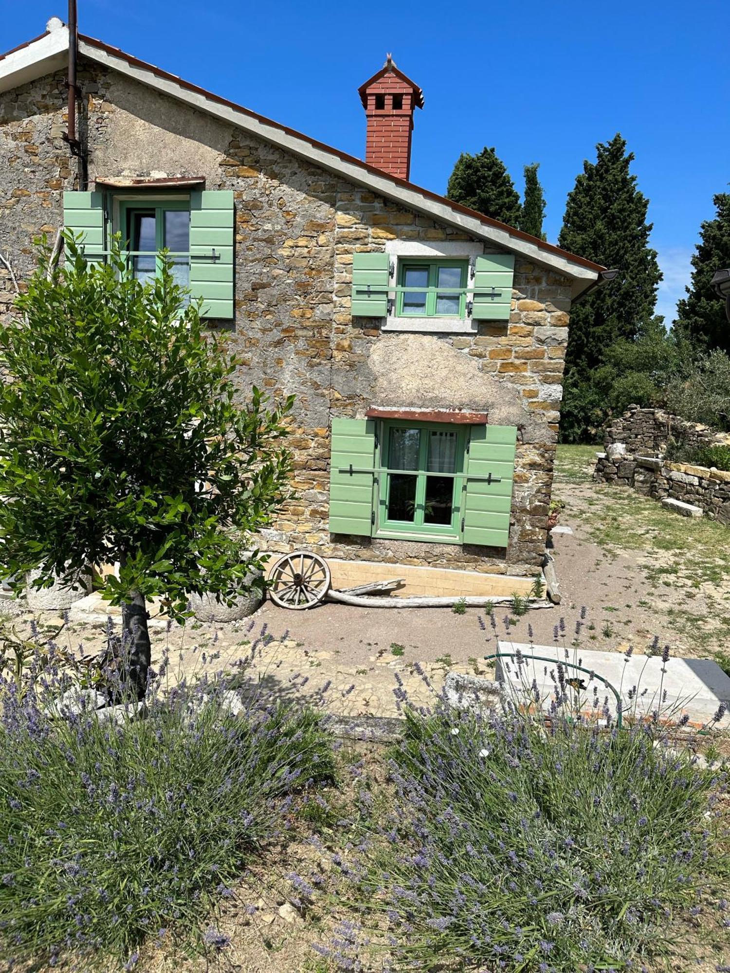 Istrian Green House Порторож Екстер'єр фото